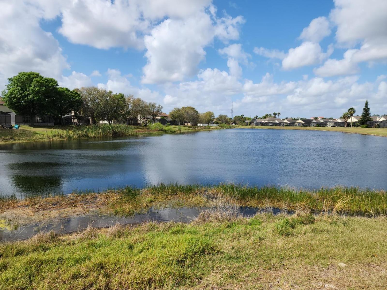 Scuttle Vacation Pool Home Wspa Orlando Eksteriør bilde